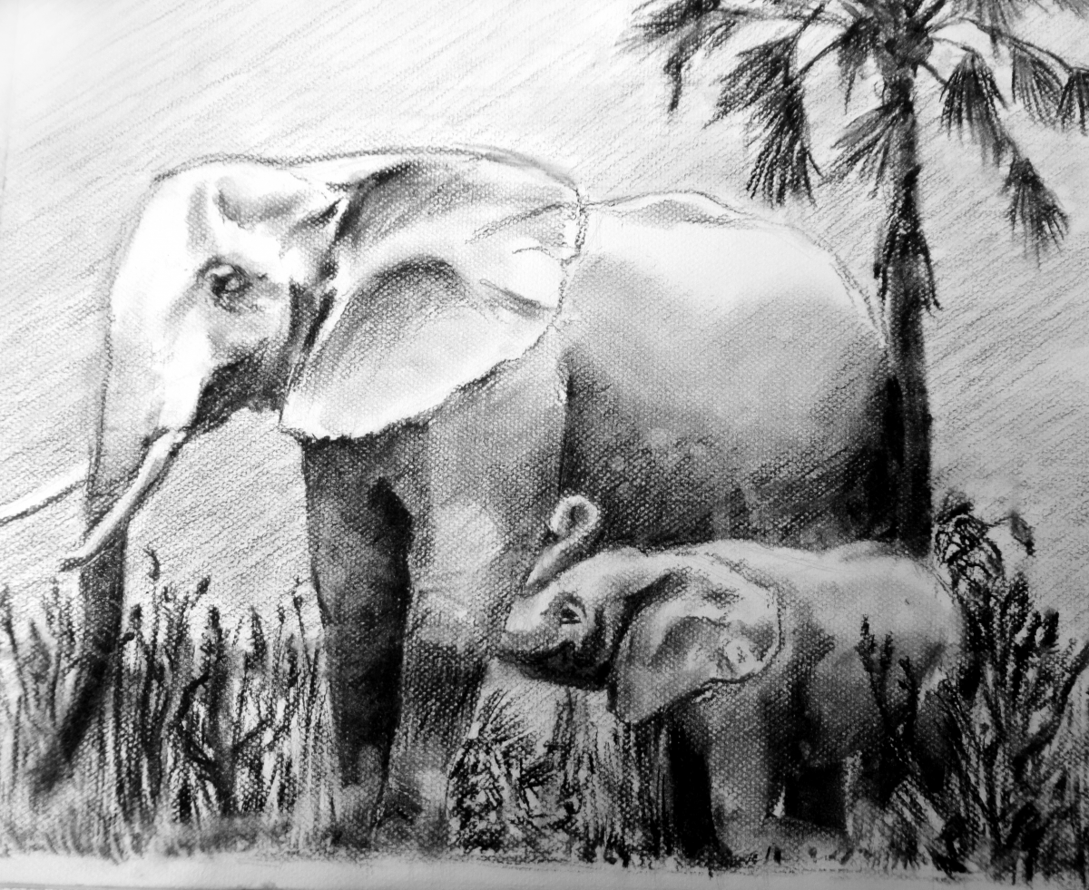 Charcoal-Olifant 